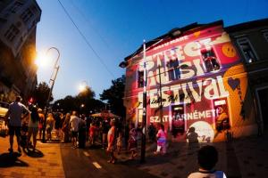 Street Music Festival, în Satu Mare