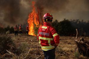 România, solidară cu Regatul Spaniei