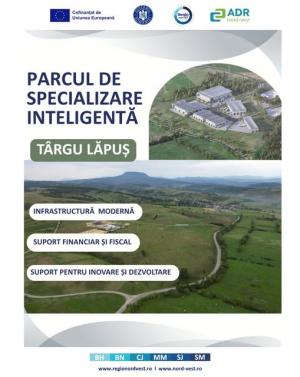 Târgu Lăpuș, acolo unde tradiția întâlnește tehnologia