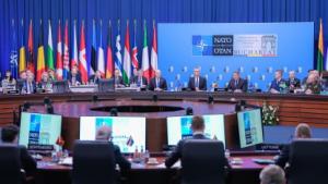 Ministrul român al Apărării va participa la reuniunea omologilor săi din statele membre ale NATO
