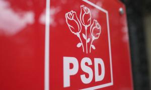 Social democrații se adună la congres pentru a-și desemna candidatul la alegerile prezidențiale din luna mai