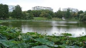 Parcul Circului va fi „redus la viață”