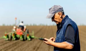 Cererile de plată pot fi depuse la APIA până la mijlocul lunii iunie