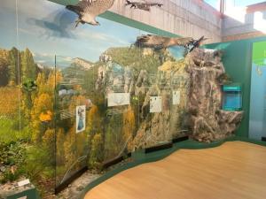 RuralConnect – Construim punți între comunitățile rurale pentru o Europă mai puternică