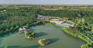 Zaga Zaga nu este doar un proiect de succes. Este o declarație de forță