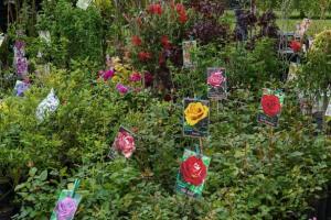 Zilele Horticulturii Bucureștene - Festivalul tradiției, culorii și naturii