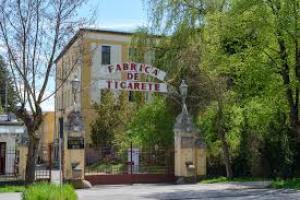 Trei expoziții excepționale marchează deschiderea Centrului de Proiecte Culturale Europene (C.P.C.E.) din Sfântu Gheorghe