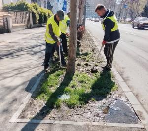Bd. Lascăr Catargiu - mai verde, mai plin de viață!