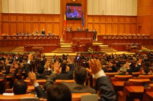 Președinta ANAF, chemată în Parlament că să răspundă unor întrebări despre colectarea taxelor și evaziunea fiscală