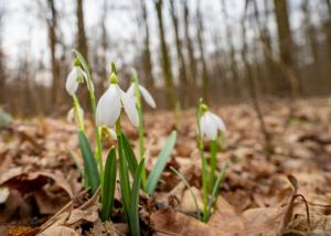 Estimări meteorologice: Paște cu vreme mai rece și condiții de ploaie în anumite regiuni
