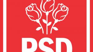PSD își prezintă condițiile pentru susținerea noului guvern: fără austeritate, pensii indexate și salarii mai mari