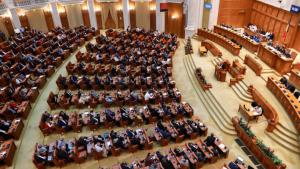 „România fără violență”. O comisie care va ancheta cazurile din România, înființată în Parlament