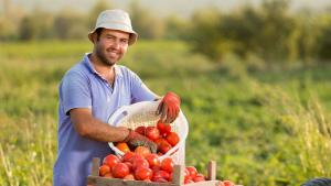 Ministrul Agriculturii îi îndeamnă pe fermieri să apeleze la sprijinul angajaților APIA