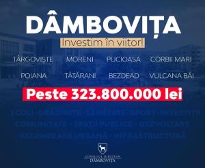 14 contracte. 2 zile. 323.800.000 lei pentru Dâmbovița
