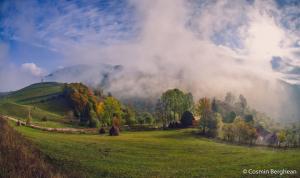 Am  dat startul Lunii Pădurii în Alba