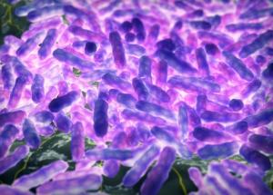 Primele cazuri suspecte de lepră în România după patru decenii