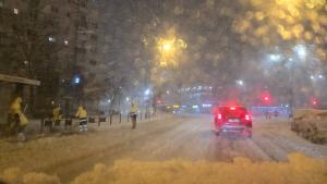 Vreme severă de iarnă: Cod Roșu în sudul țării, ambulanțe blocate, copaci prăbușiți și zeci de mii de consumatori fără energie electrică